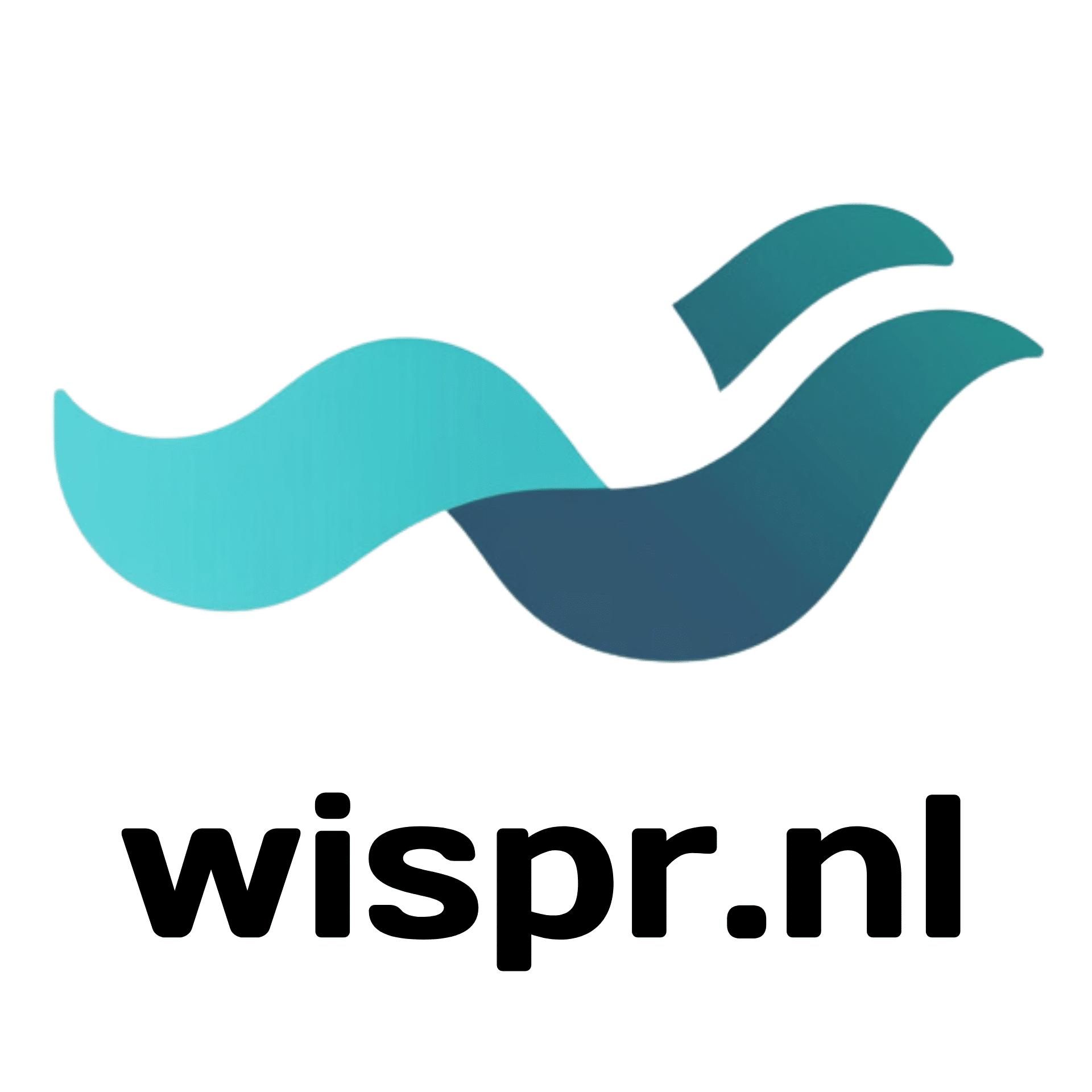 Wispr.nl - Betrouwbare website SEO checker voor kleine bedrijven